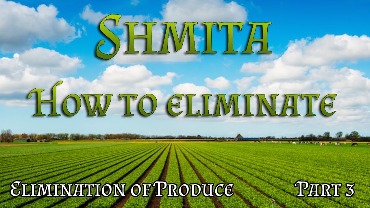 Elimination of Shmita produce | Part 3 - How do we eliminate the remaining fruit and vegetables?
