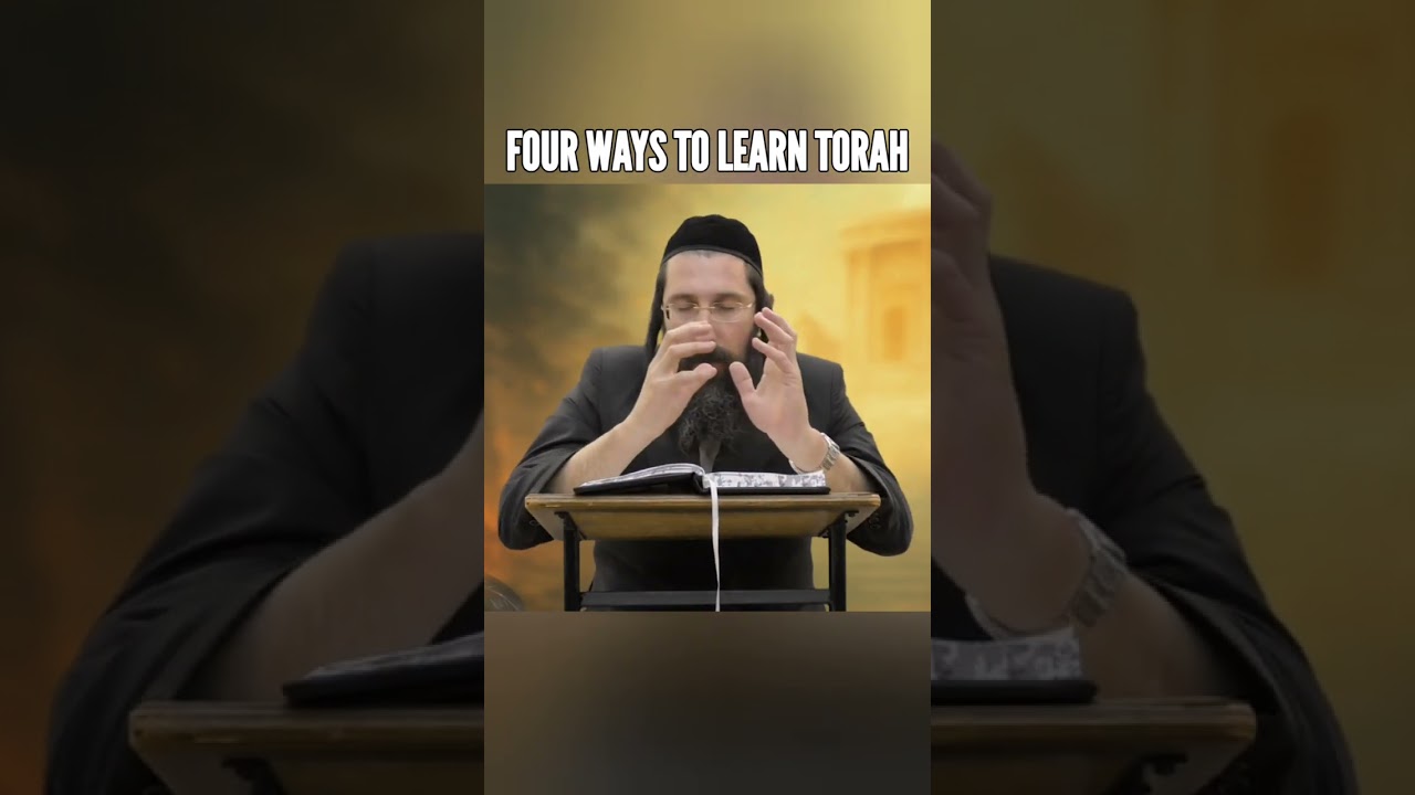 The Alshich Holy Secrets Of Climbing The Four Levels Of Spiritual Torah