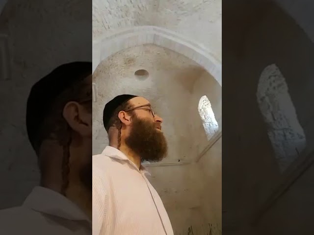 A tune for the Prophet Samuel - Yoely Lebovits
