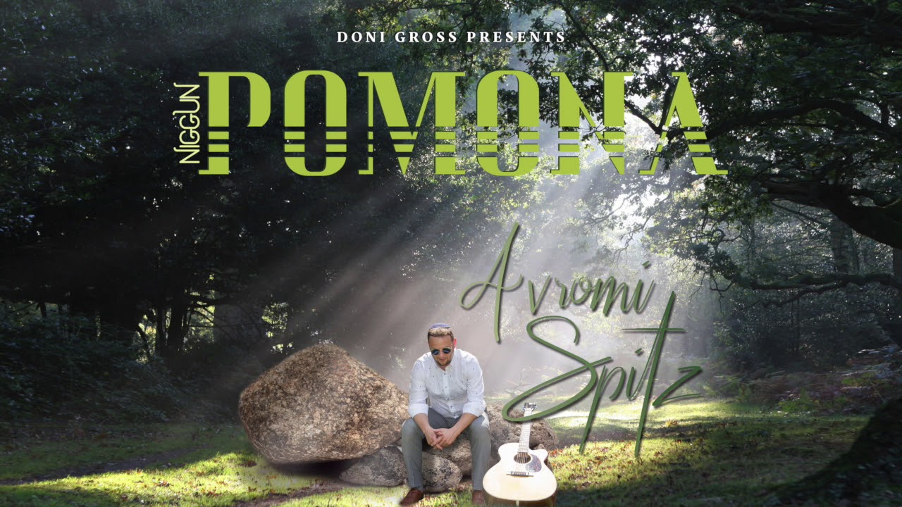 Avromi Spitz - Niggun Pomona