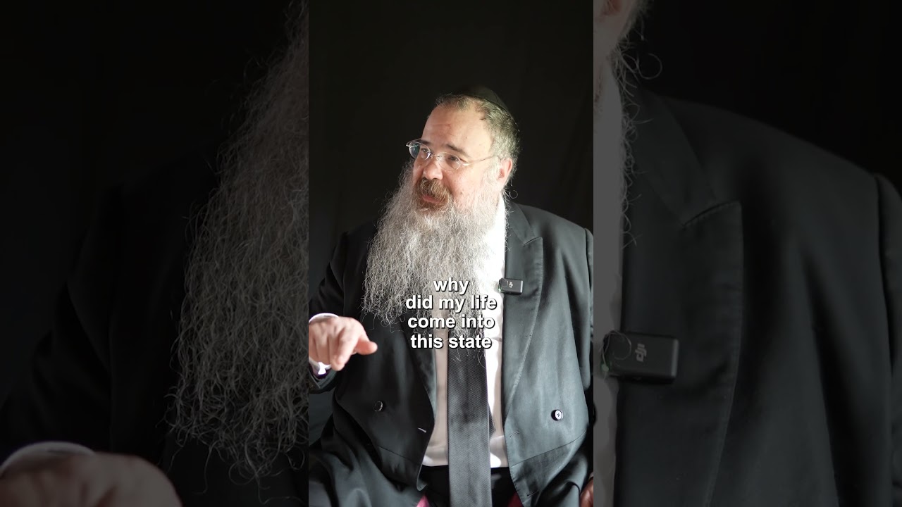 The meaning of life REVEALED
