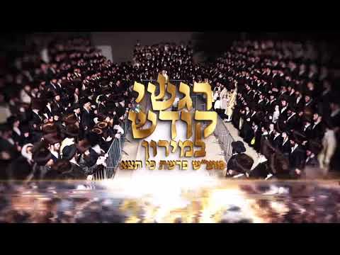 🎶 הרב אלימלך בידרמן | שירה והתעוררות במירון ✨ לקראת הימים הנוראים – מוצ״ש פרשת כי תצא📖