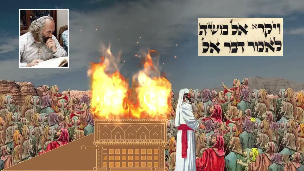 Shlomo Carlebach - Parshat Vayikra - Moshe & Aharon Golden Calf - Chabad - Torah - Talmud - Midrash