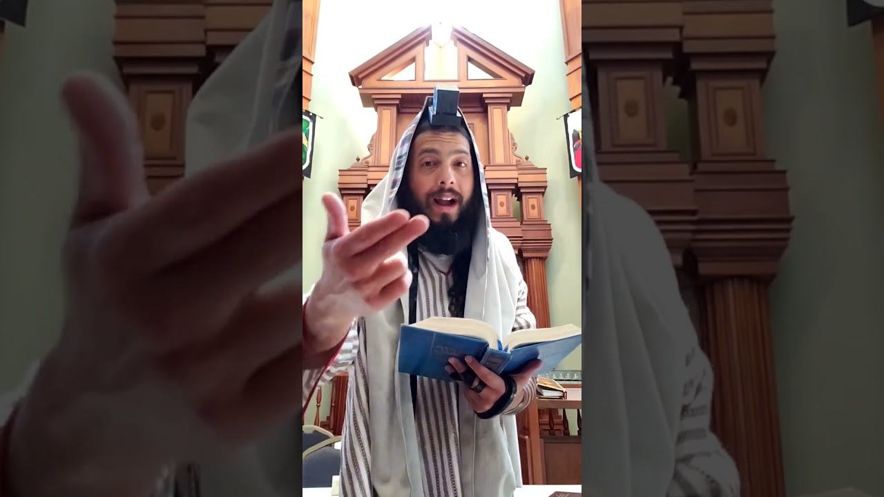 #Psalm113 #Psalms #Tehillim #Hallel #Hagaddah #Pesach #Passover #Jewish #ChagSameach