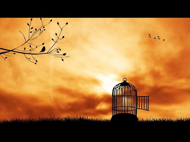 When I am Here, I Need Not Want To Be There - Maamar Matzah Zu 5672 #4
