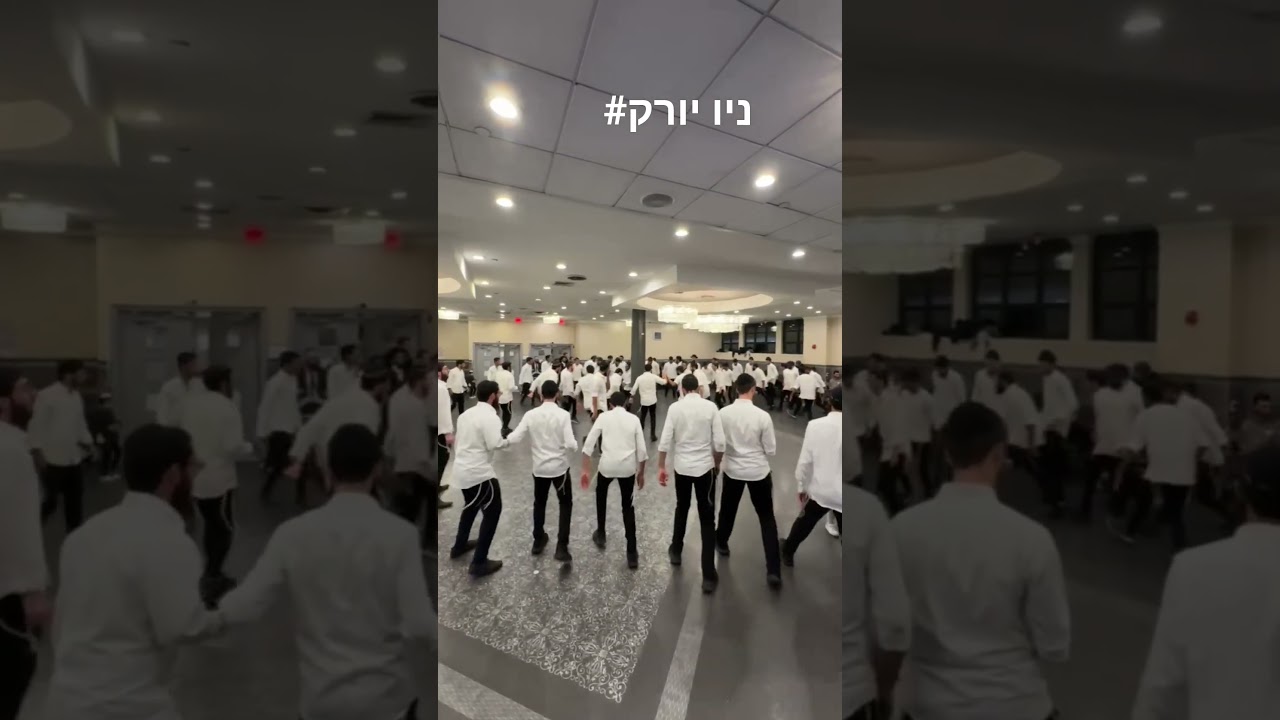 ספרי תמה - אלעד שער