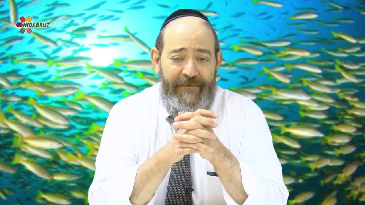 Parshat Shemini: Holiness and the Laws of Kashrut - Rabbi David Kaplan
