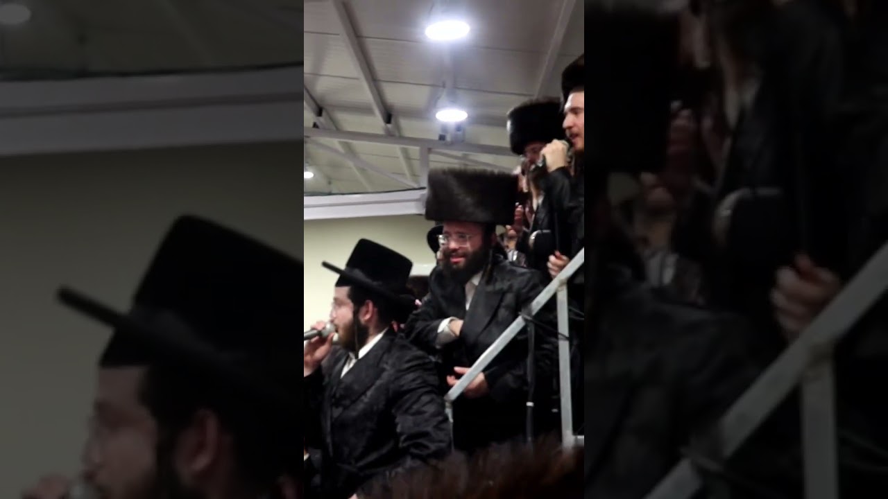 כ"ק מרן האדמו"ר שליט"א בזריקת התפוחים במהלך שמחת השבע ברכות המרכזי שנערכה בשילוב טיש ט"ו בשבט