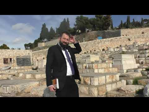 Journey to Jerusalem 2026: The Kever of Warder Cressen, Boaz Michoel Yisroel ; Quaker Convert