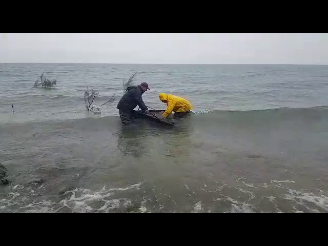 Fishing competition at the Kinneret