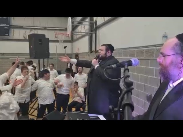 Shmueli Ungar • Naftali Schnitzler | שמילי אונגאר עם נפתלי שניצלר