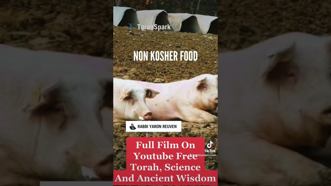 Your Diet Is Destroying Your Jewish Soul #rabbiyaronreuven #kosherfood