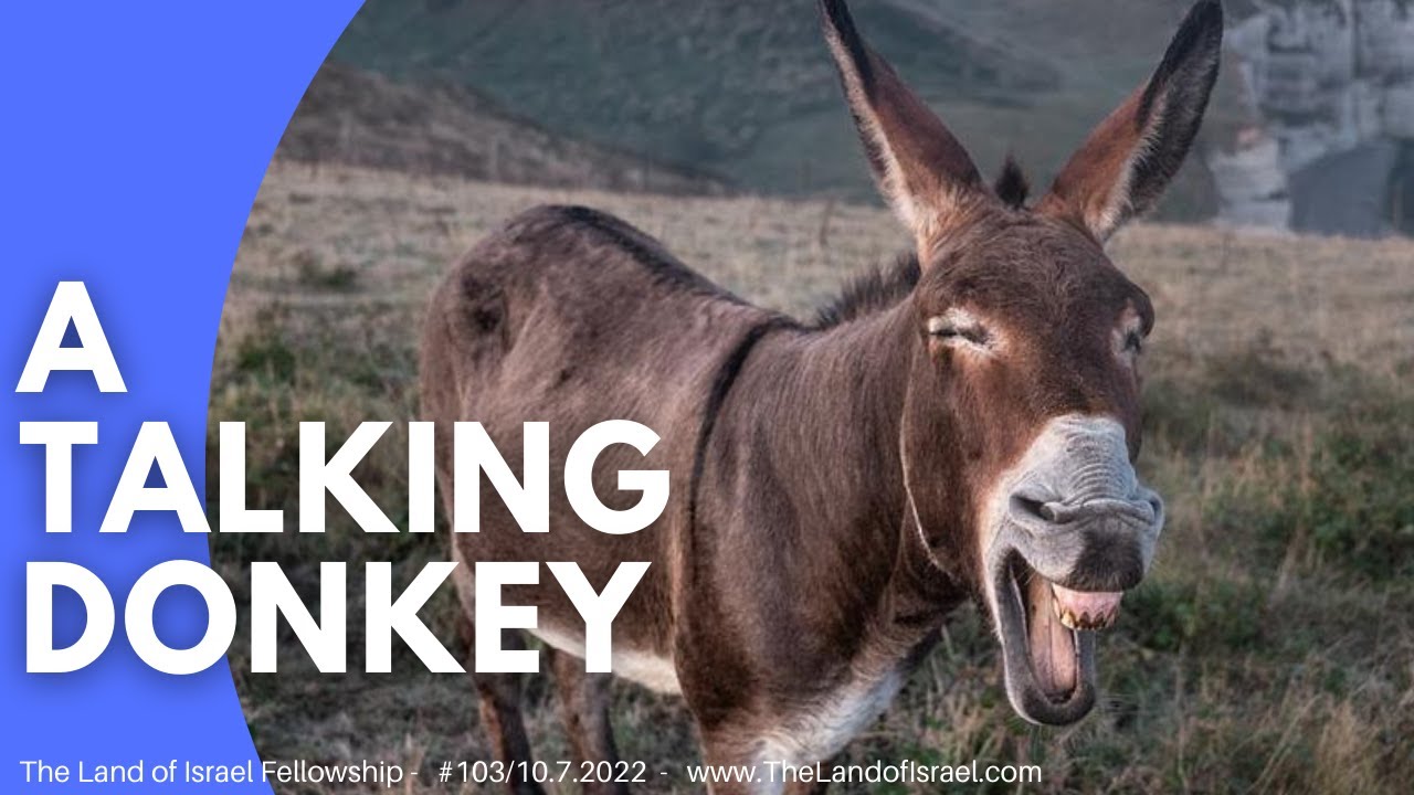 A Talking Donkey - Ari Abramowitz: The Land of Israel Fellowship