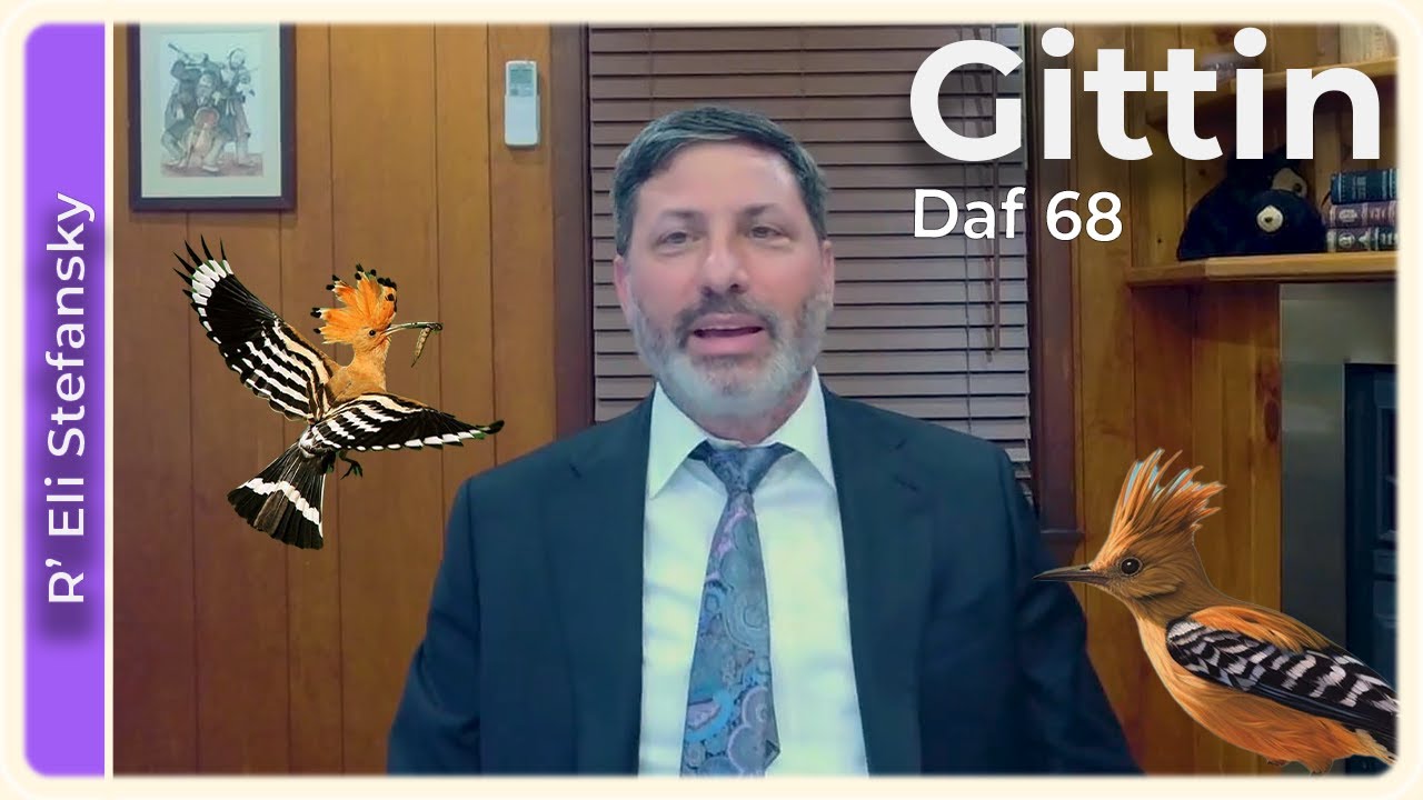 Daf Yomi Gittin Daf 68 by R’ Eli Stefansky