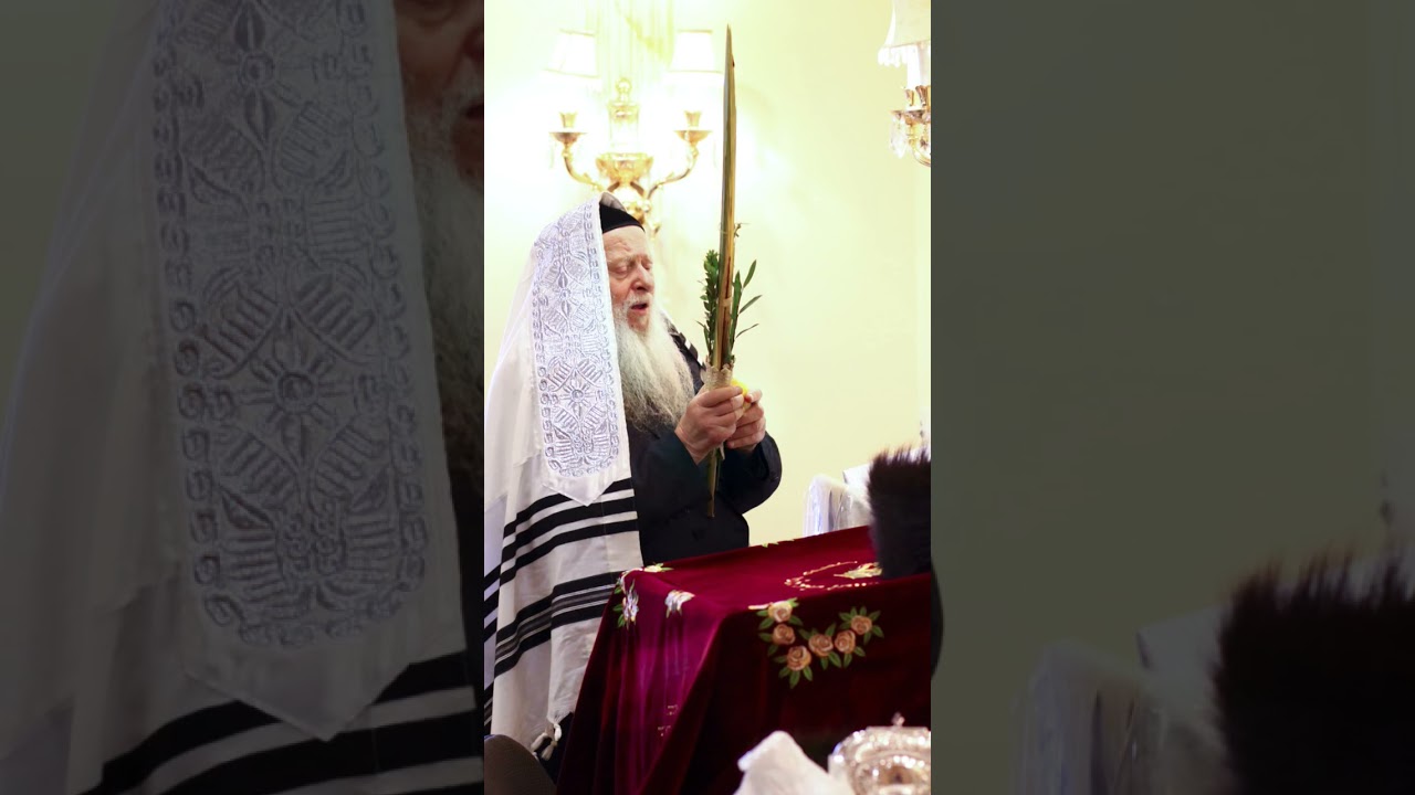 אשוואר סכות