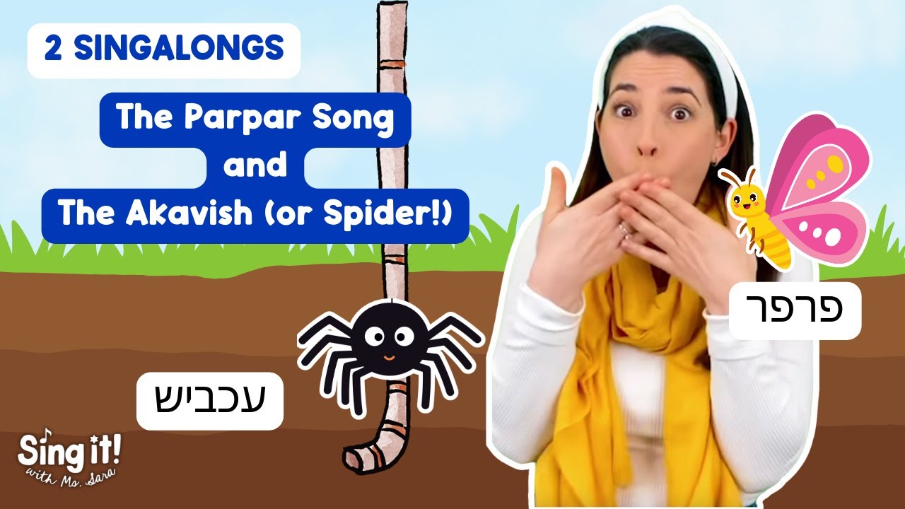 Sing About Butterflies and Spiders with HEBREW Learning! #hebrewlearning #butterflies #spiders