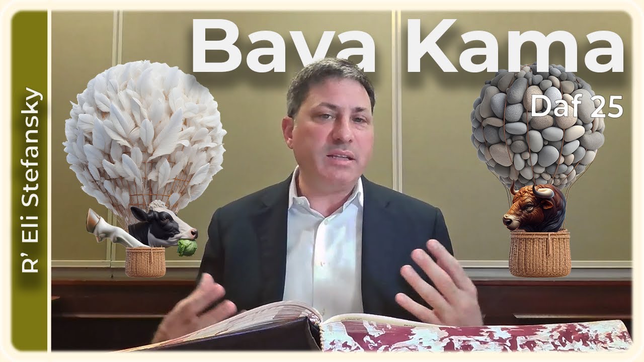 Daf Yomi Bava Kama Daf 25 by R’ Eli Stefansky