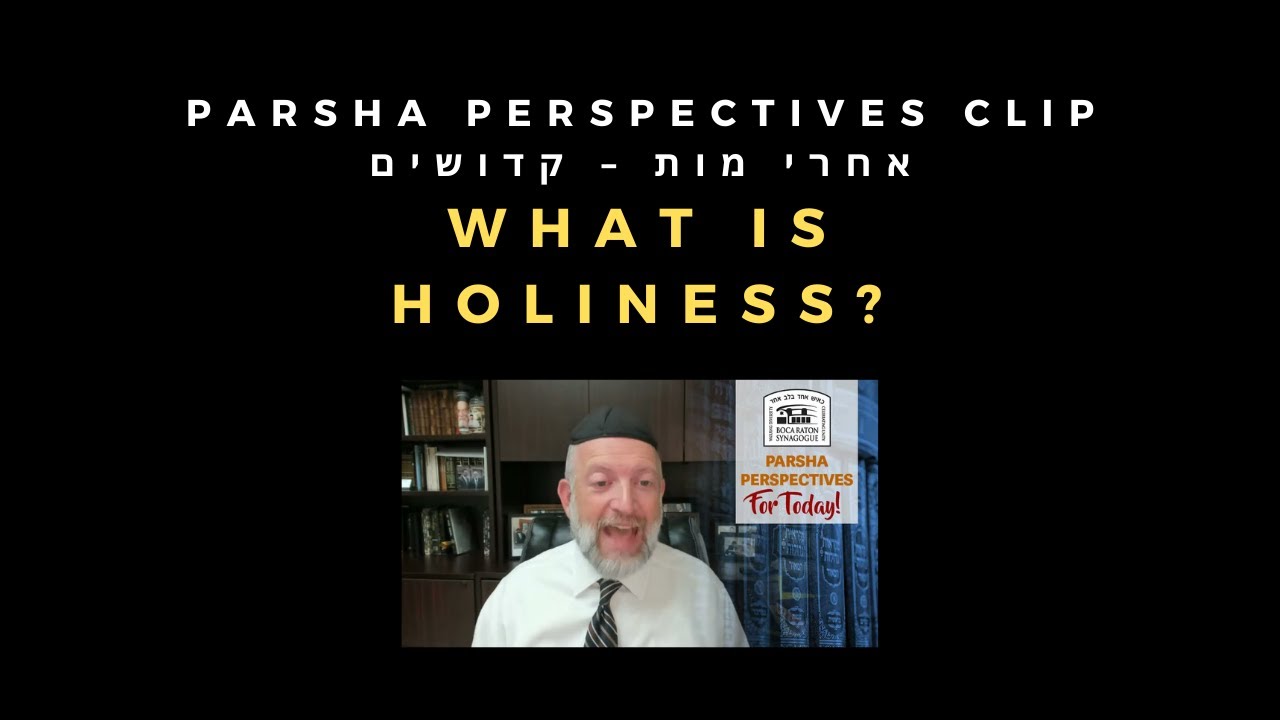What is Holiness? [Parsha Perspectives Clip]