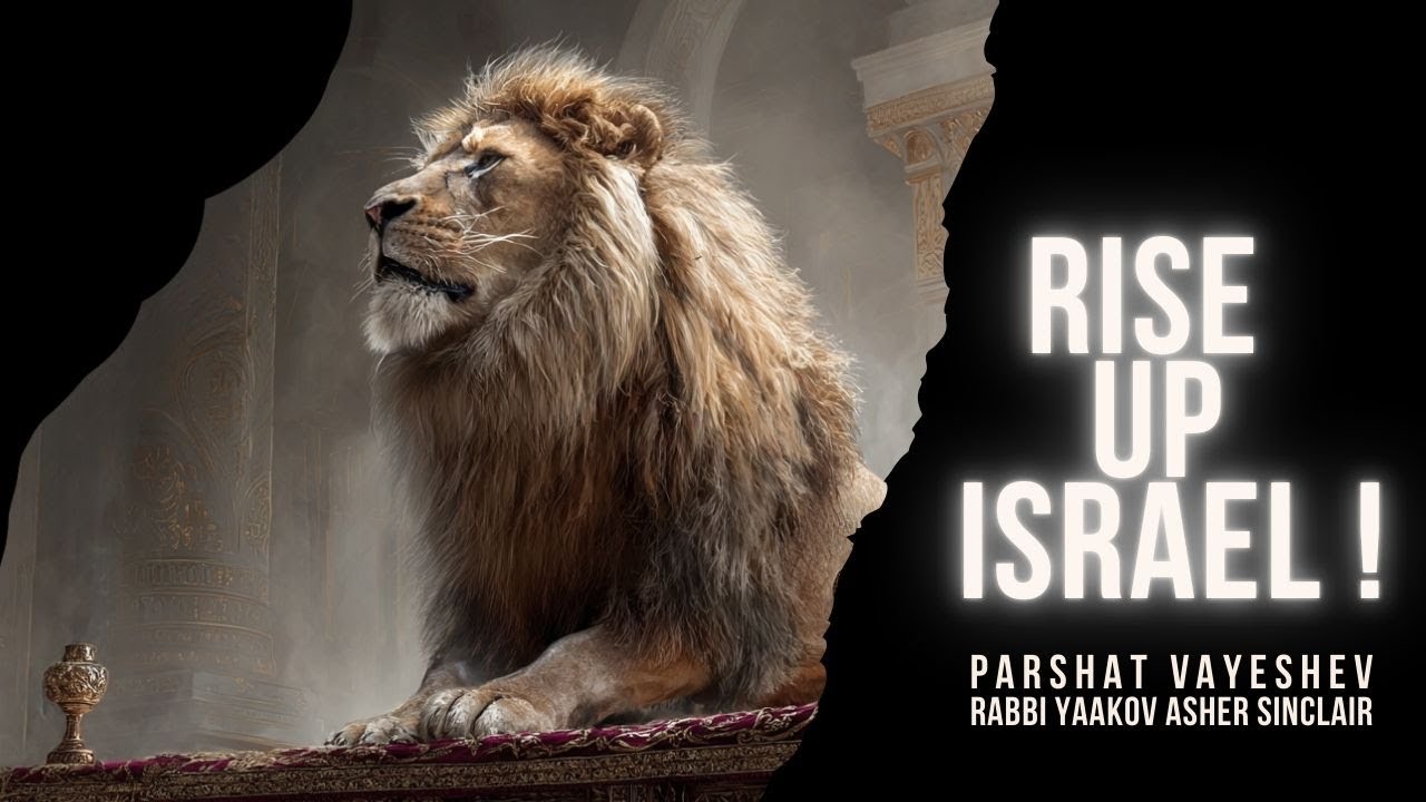 Rise Up Israel! - Parshat Vayeshev