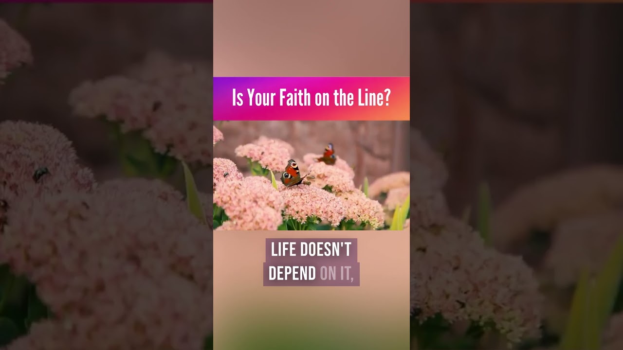 Emunah VS. Bitachon: Is Your Faith on the Line?