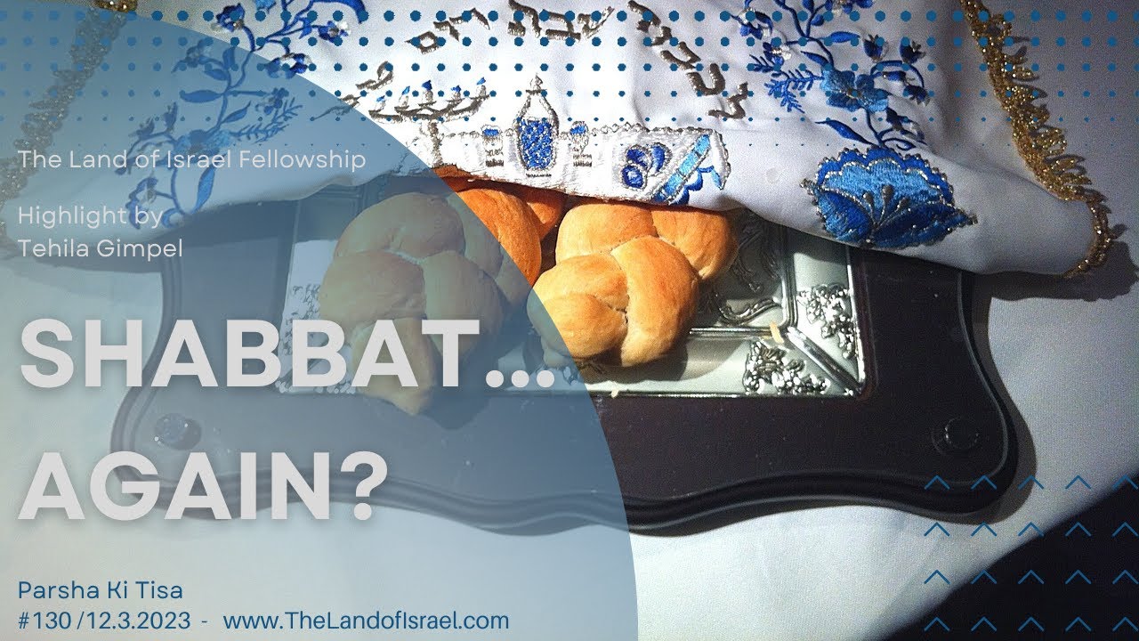 Shabbat...Again? - Tehila Gimpel (Parsha Ki Tisa & Vayakhel): The Land of Israel Fellowship