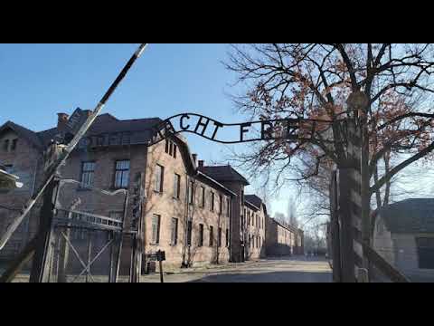 BJX's Life Changing Trip