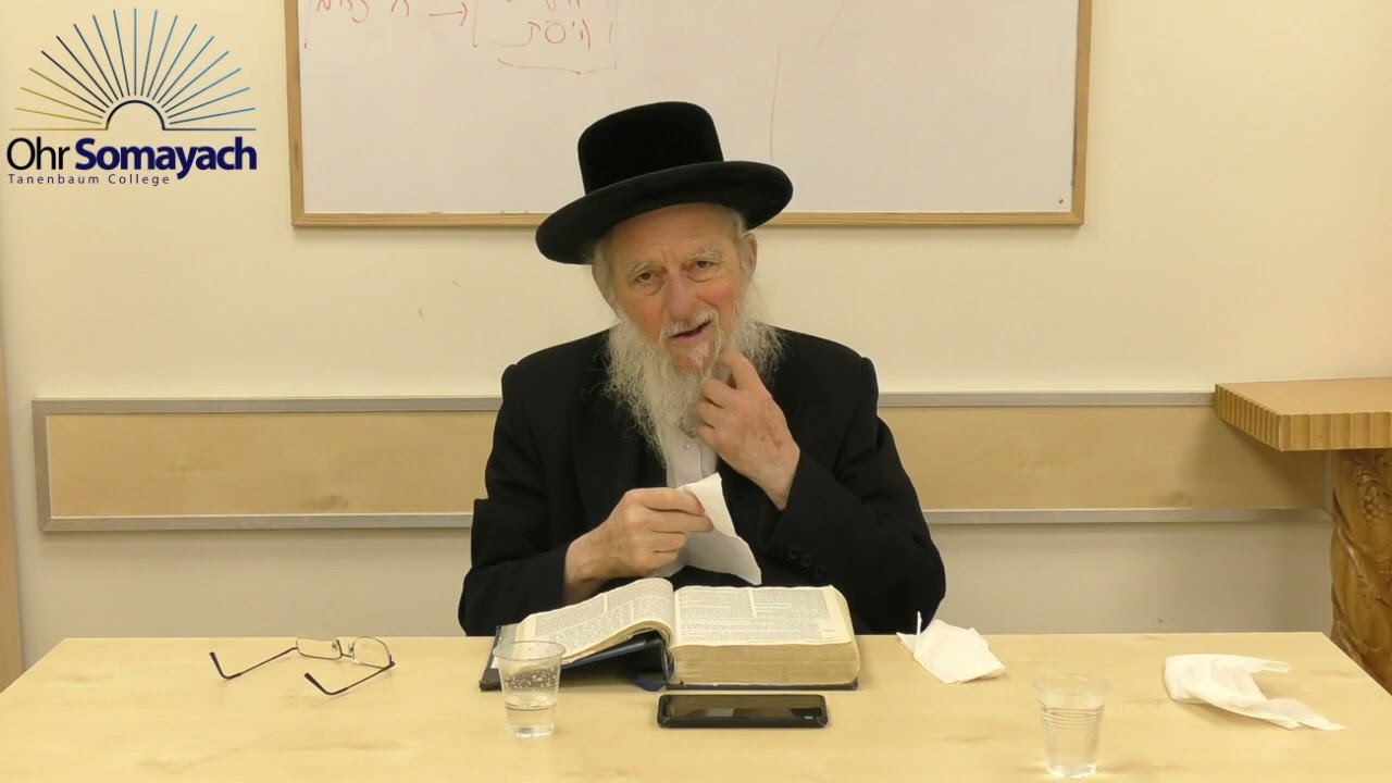 Rashi on Chumash Part 16   Abraham and Sodom Part 2 (Rabbi Dovid Gottleib) (Jewish Philosophy)