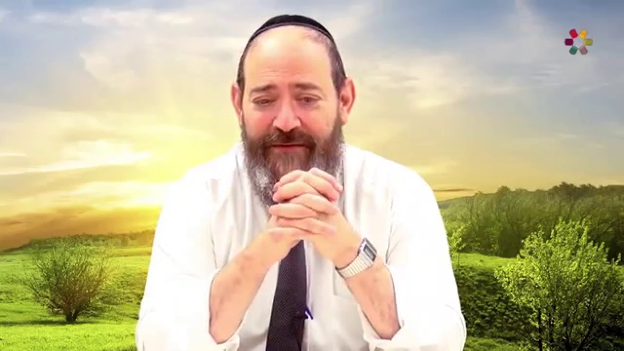 Rabbi David Kaplan - Weekly Torah Portion: Vayigash - Part 2