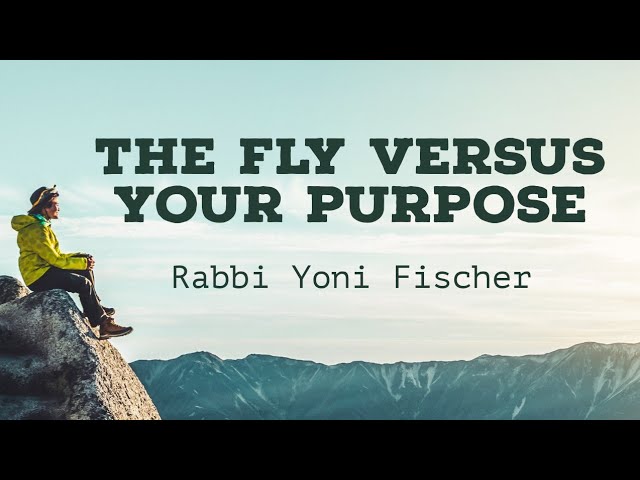 Remember God When You Are Young - Rabbi Yoni Fischer