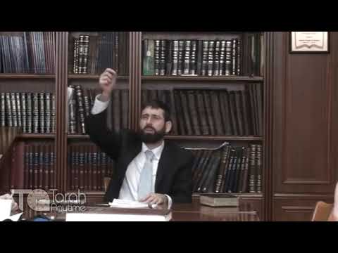 Sukkos: The Bikurei Yaakov's Laser Sharp Lomdus of the Taking of the Lulav
