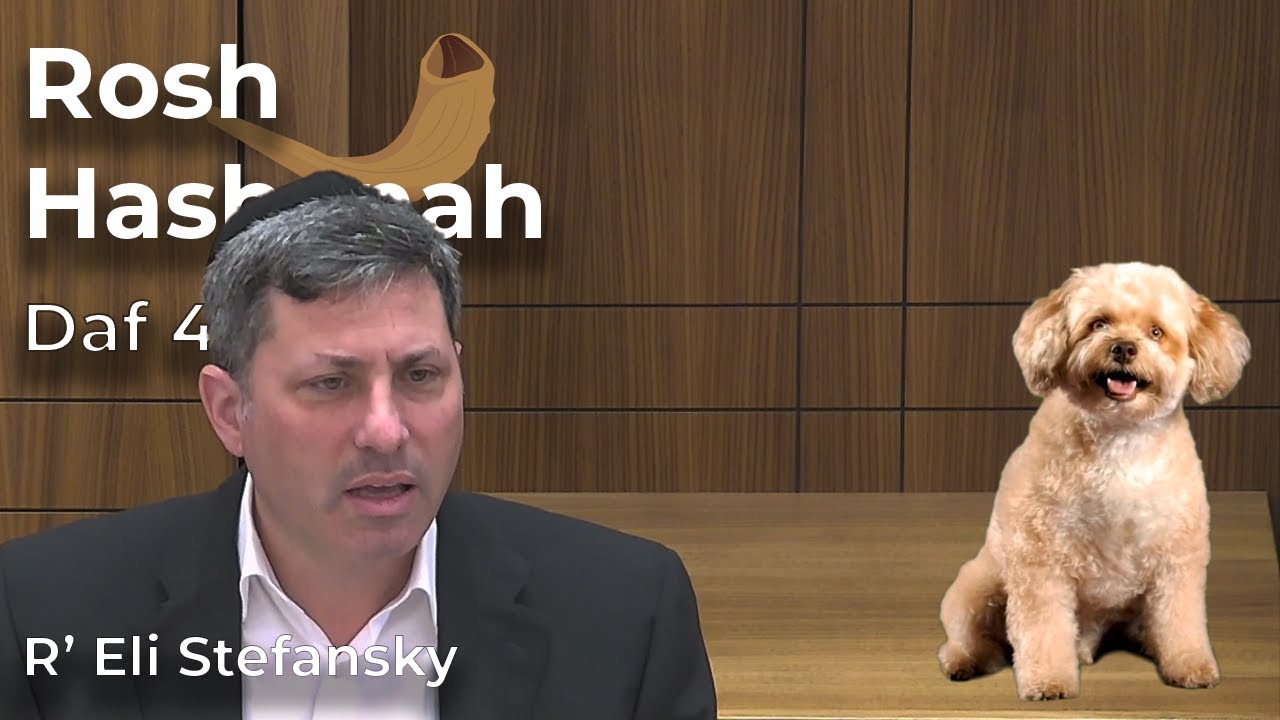 Daf Yomi Rosh Hashanah Daf 04 by R’ Eli Stefansky