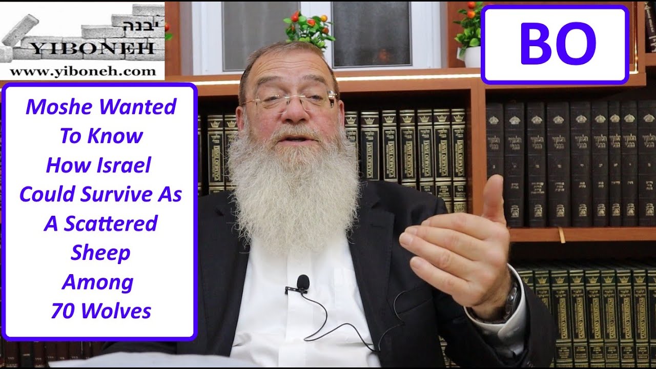 The Secret How Israel Can Survive As Scattered Sheep Among 70 Wolves with Rabbi Aaron Dovid Poston