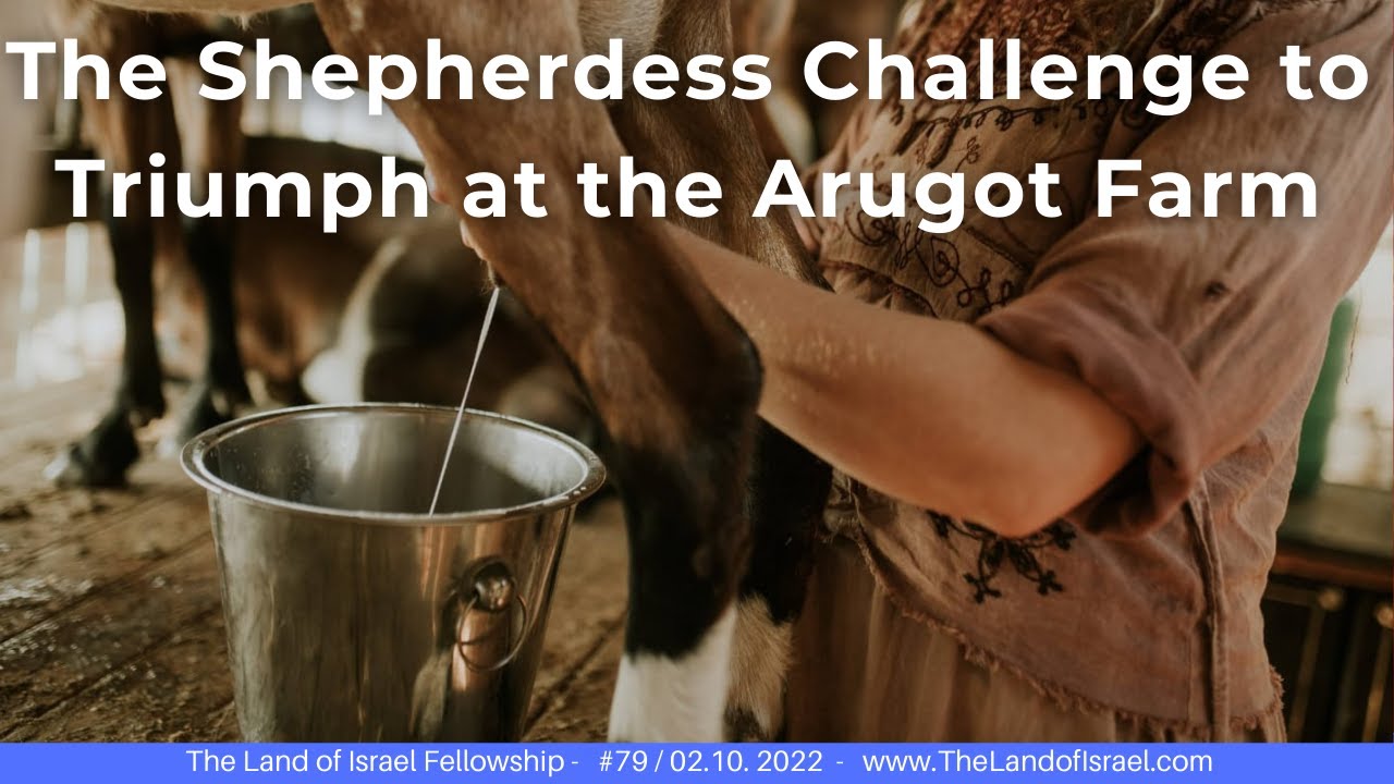 The Shepherdess Challenge to Triumph at the Arugot Farm-Jeremy Gimpel: The Land of Israel Fellowship