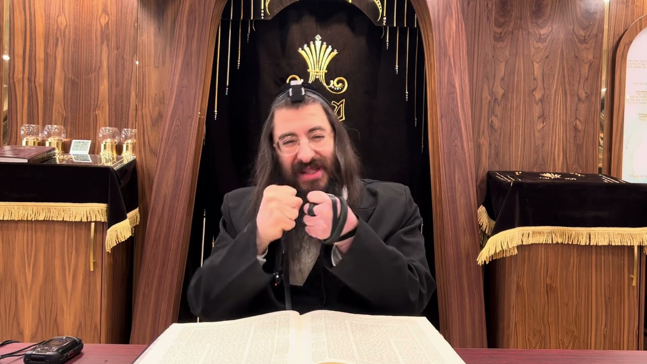 Sanhedrin 47