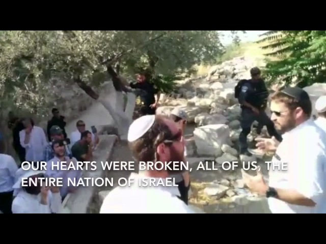 Ari Abramowitz arrested on Temple Mount - different perspective