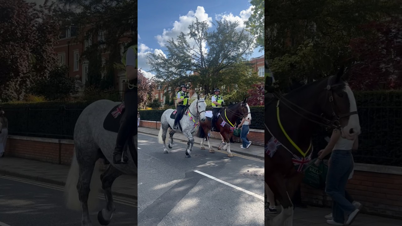 Police horses at the Kings Coronation #shorts #police #horses #kingscoronation #london #royal