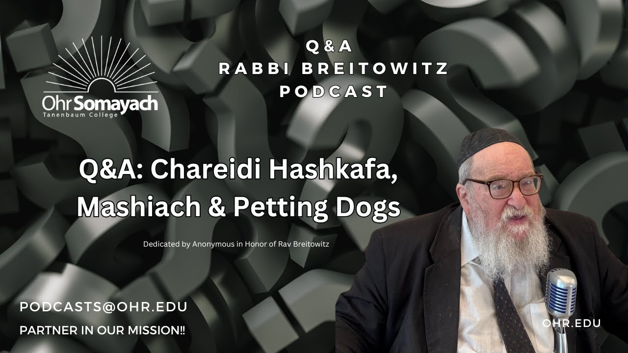 Q&A: Chareidi Hashkafa, Mashiach & Petting Dogs (Harav Yitzchak Breitowitz)