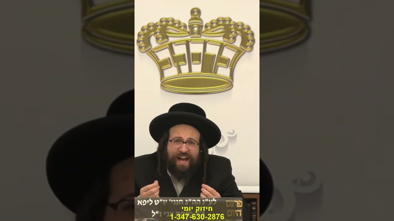 טוישן די ווייב!