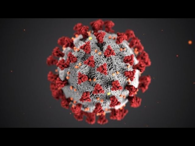 The Coronavirus: We Don't Want Blood On Our Hands!