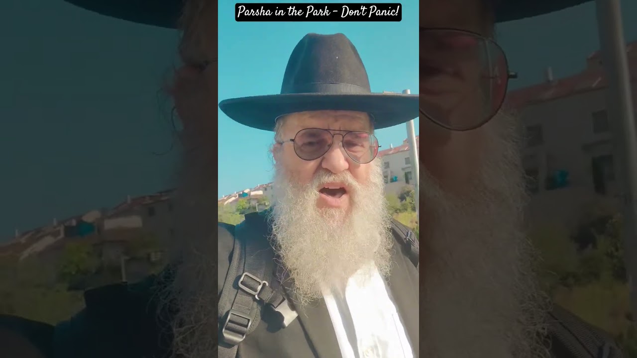 Parsha in the Park - Don't Panic!