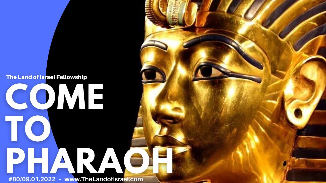 Come to Pharaoh - Ari Abramowitz: The Land of Israel Fellowship
