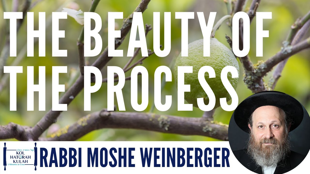 The Beauty of the Process - Rabbi Moshe Weinberger | Mussar