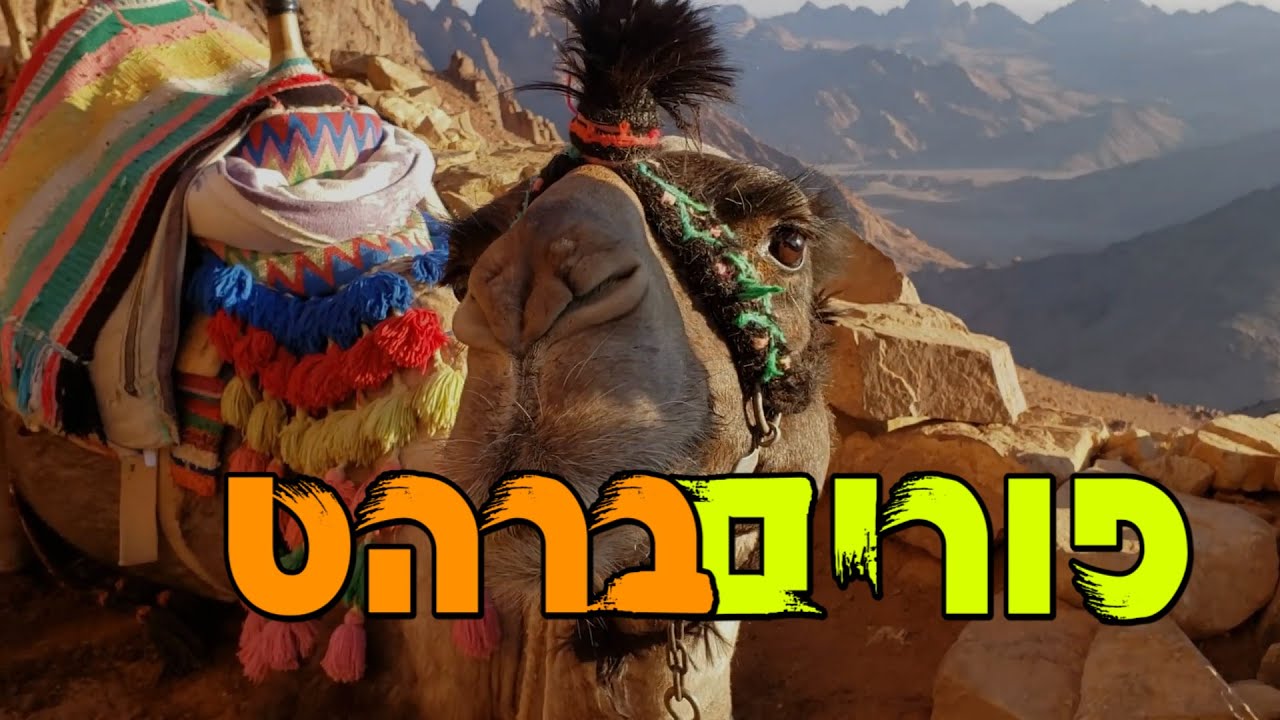 טראנס פורים / פורים ברהט (Prod By Efi_potolski)