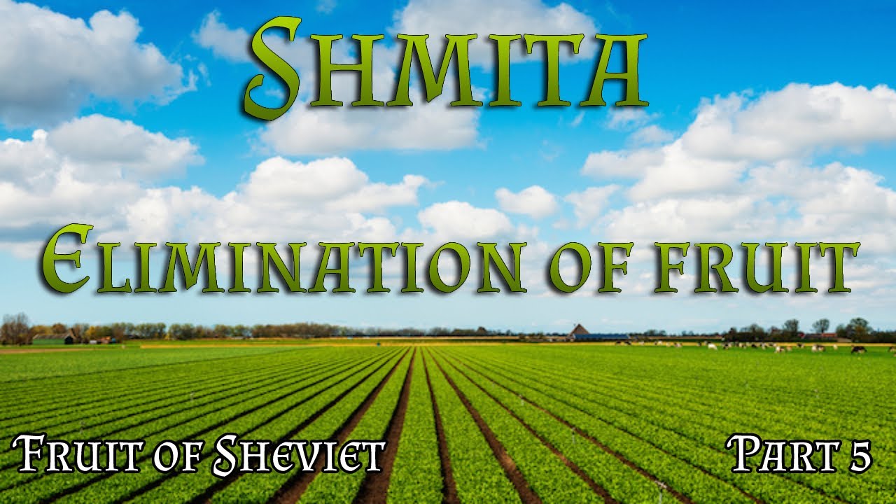 Shmita | Fruit & Vegetables of Sheviet - Elimination of fruit (Biur ביעור)