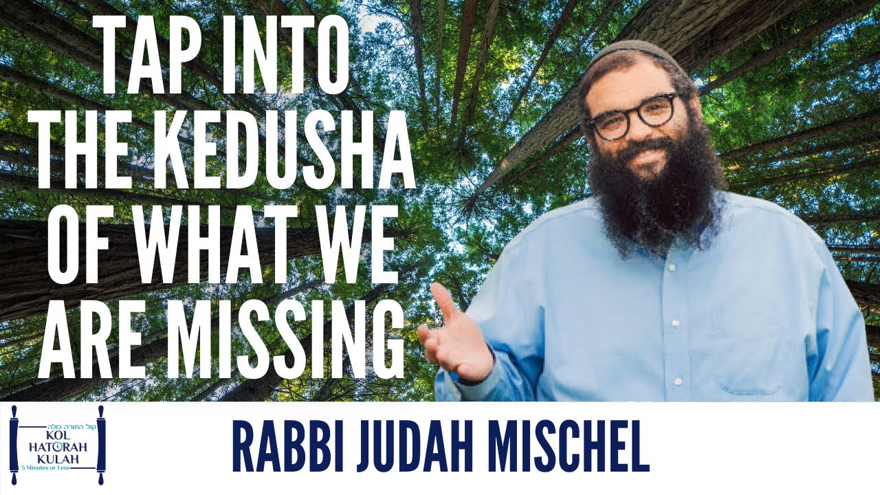 Tap into the Kedusha of what we are missing - Rabbi Judah Mischel