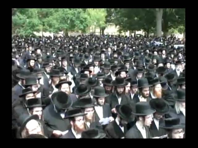 Rabbi Shya Yaakov Stauber at Anti-Zionist Protest in Washington DC