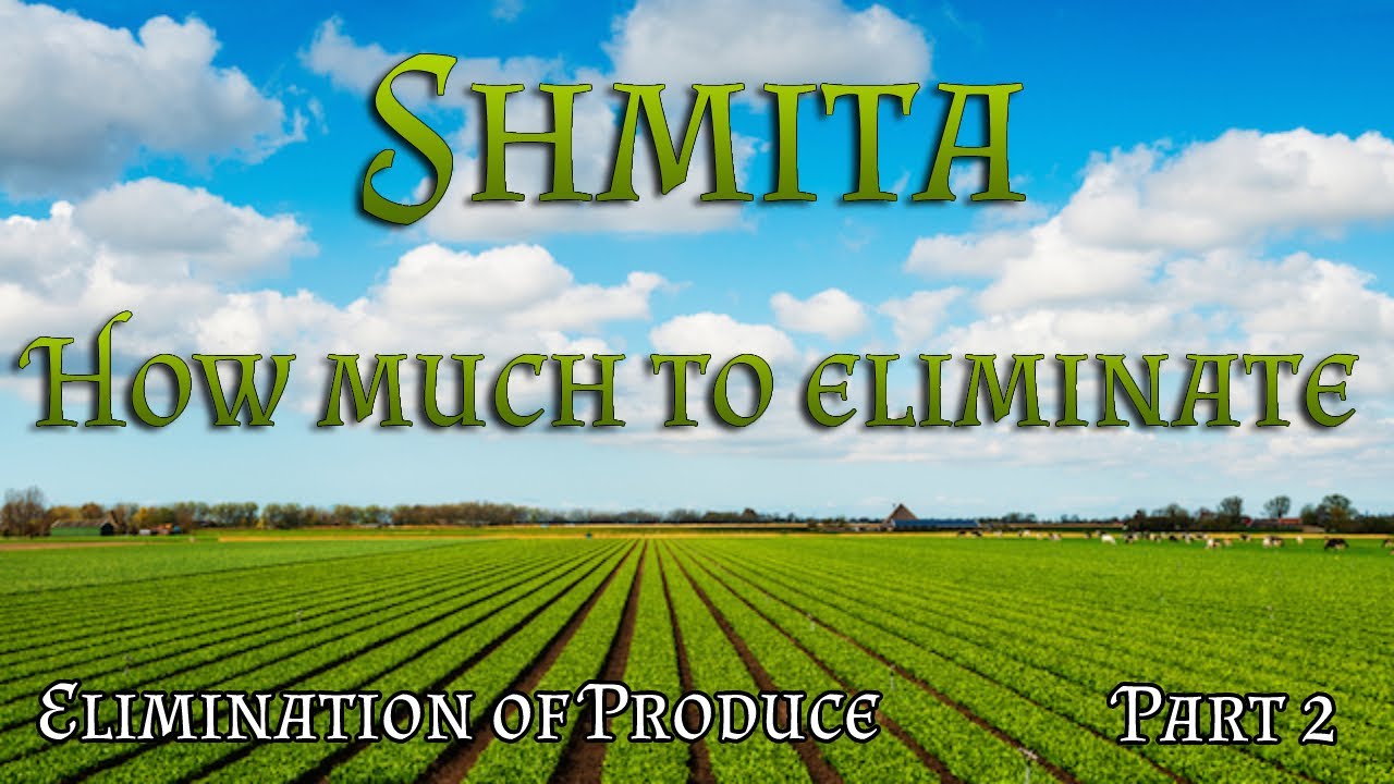 Elimination of Shmita produce | Part 2 - How much do we eliminate?