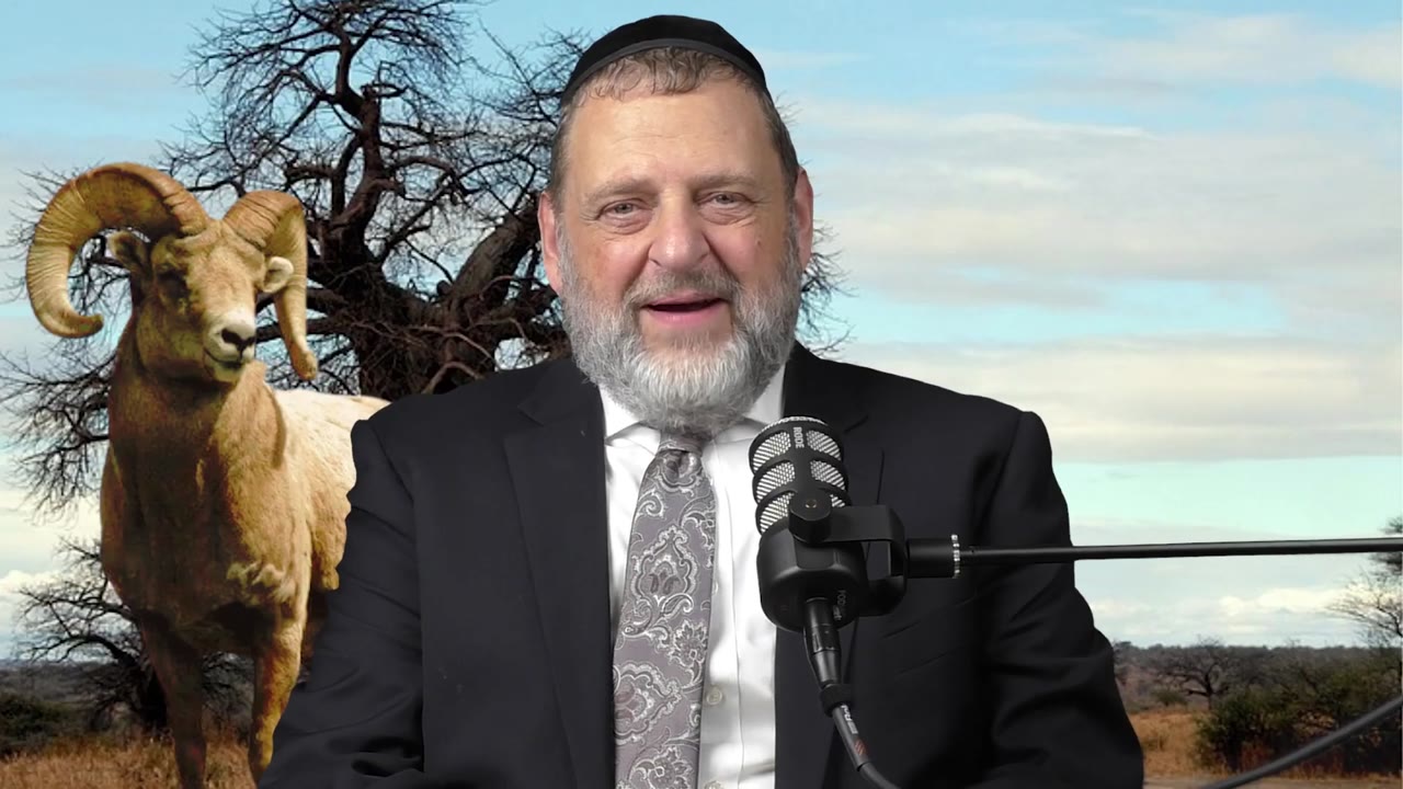 Vayera - Make The Sacrifice | Rabbi Dovid Orlofsky