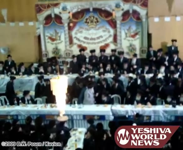 Sanz Sheva Brachos