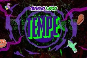 Bingo Loco